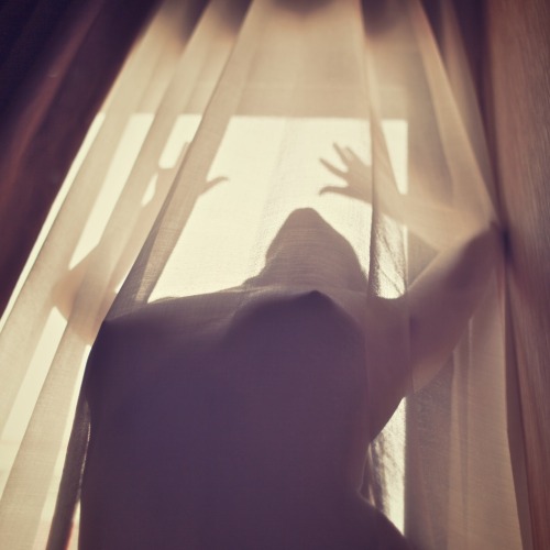 fallarto:  splicepicturesx: Elaria #07 