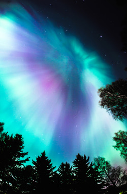 drxgonfly: Northern lights (by Teemu Lautamies) 