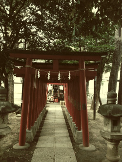 tokyosanpopo:  Hanazono shrine 