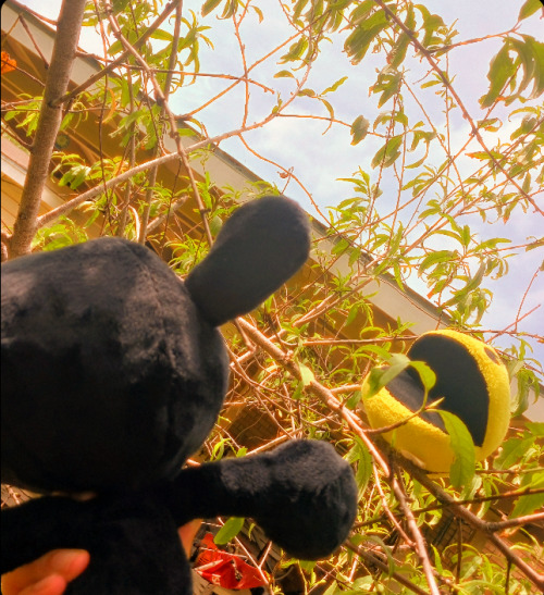 Recently I've Made A Game N Watch Plush So Here's Some Pictures!!!! I'm So Happy He's Done!!!