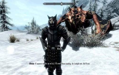 skyrimglitches:This is still my fave skyrim screenshot of all time