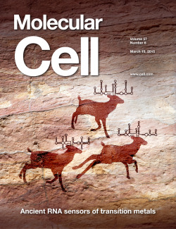 Cover illustration for Molecular Cell. Article describes how a riboswitch is a manganese-responsive regulatory element.
Illustration: Ethan Tyler