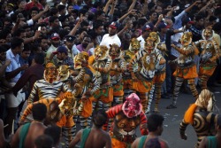 Puli Kali by AP Photo/Arun Sankar K. Puli Kali (&ldquo;Puli&rdquo; = Leopard/Tiger &amp; &ldquo;Kali&rdquo; = Play in Malayalam language) is a colorful recreational folk art from the state of Kerala. It is performed by trained artists to entertain people