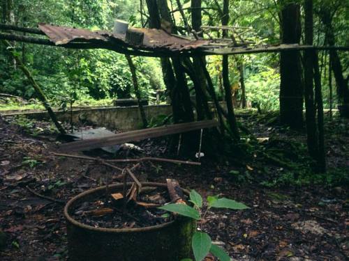 seeker-in-a-lost-world:  When you come across a creepy old shack in the middle of the jungle… #jungl