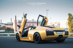 automotivated:  Lamborghini Murciélago (by Linus Eriksson)