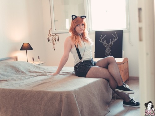 phoenix-dark-soul: Lovia hopeful sg CHATON APPRIVOISÉ