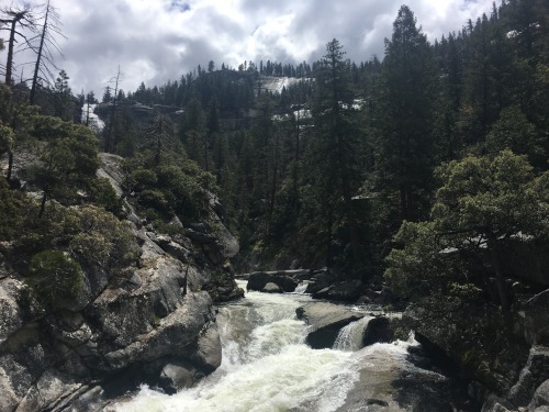 lushgreen: Yosemite National Park, California