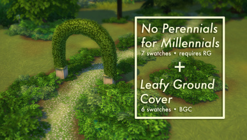 annabellee25: magnoliidae:   2 PLANT RECOLORS/RETEXTURESI’ve been wanting to remove the f