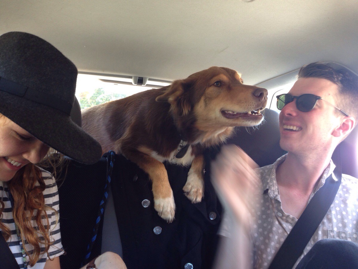 carlosvlstr:  He knows he’s not allowed in the front. But that smile