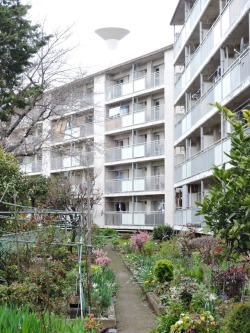 tamazo2:  東京都営浮間三丁目アパート（1967～9年）