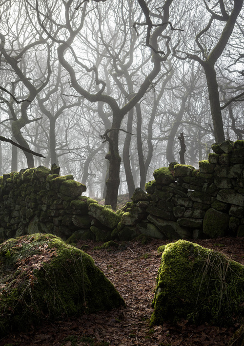 wanderthewood:Bolehill, Derbyshire, England by Matt Oliver