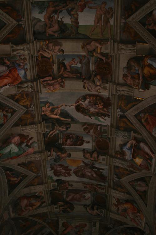 Volta della Cappella (The Sistine Chapel) by Michelangelo original photography 