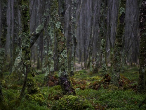 sublim-ature:Glendalough, IrelandGrzegorz Wanowicz