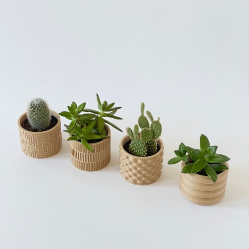 Beautiful 3D Printed Pots To House Your Favorite Succulents