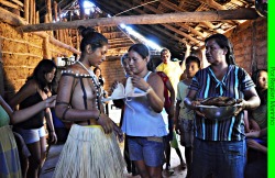 Preparations for a traditional Xerente marriage,