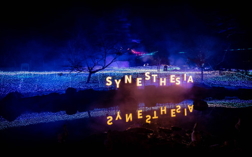 SYNESTHESIA Night in Spring.
