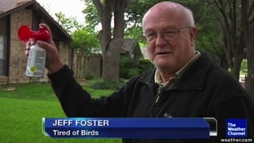 moonjira:  hearing people talk about flappy bird at school all the time and i’m just like  