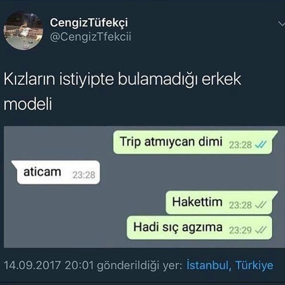 CengizTüfekçi
@CengizTfekci...