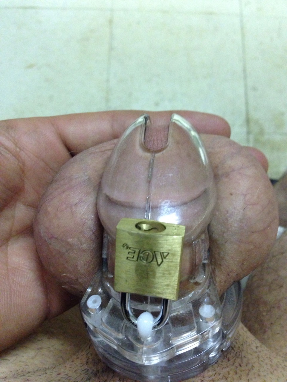 mentalaberration:  obey2113:  Reblog if u want to be the key holder  Hell yes! 