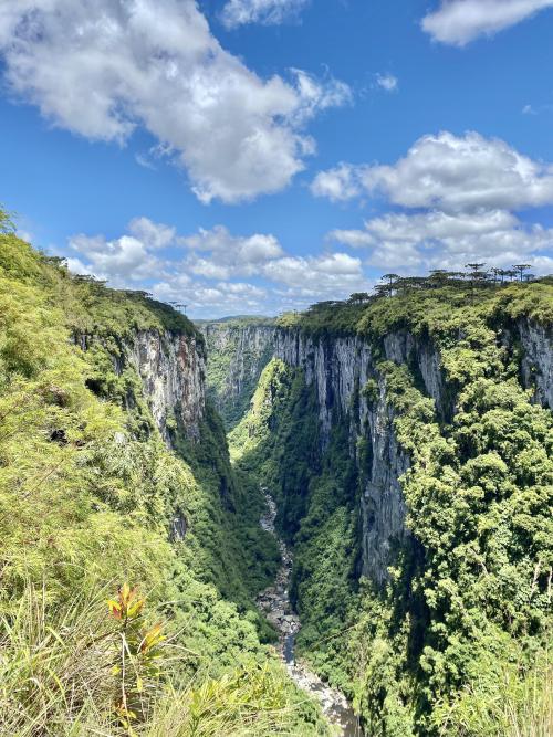 oneshotolive:  Canyon Itaimbezinho, RS, Brasil. [oc] 3024x4032 📷: minas000 