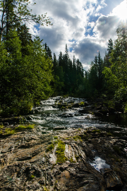 jeanpolfus:The Mesna River above Lillehammer, Norway.Look at the well exposed, polished outcrop in t