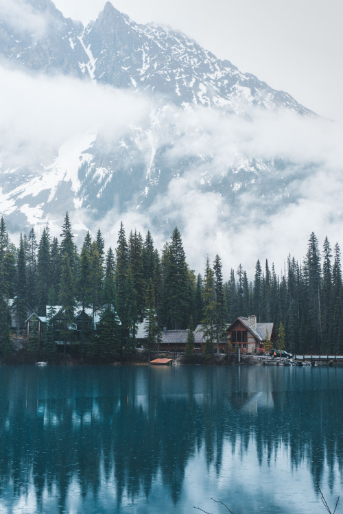 teapalm:  (Tasha Marie) | Emerald Lake, Lodge, BCwebsite | instagram | facebook 