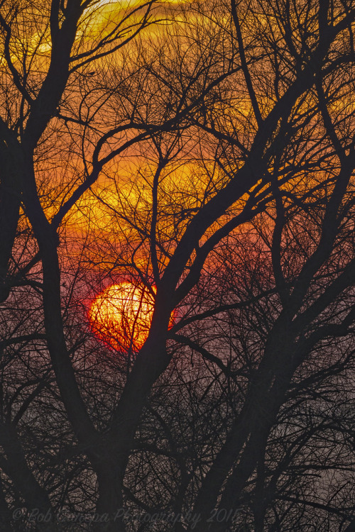 autumnlly: sitoutside: MORNING SUNRISE by bcanepa_photos  