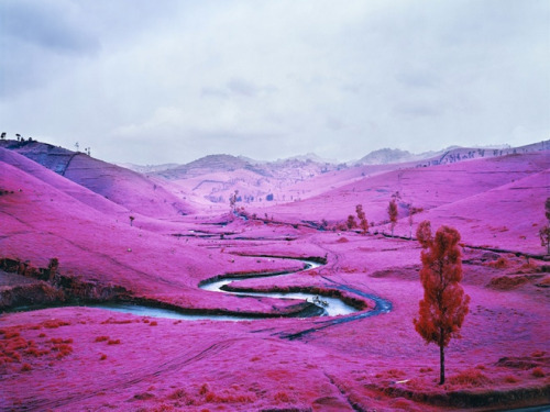 Richard Mosse artwork.(via The Impossible Image | Zeutch)