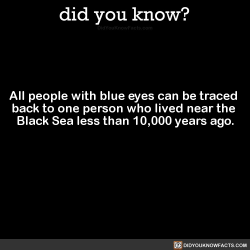 hanukkahsolo:  gay-jesus-probably: zohbugg:  i-want-cheese:  saturdaynightlycanthrope:  celticpyro:  did-you-kno: All people with blue eyes can be traced  back to one person who lived near the  Black Sea less than 10,000 years ago.  Source Source 2 Now
