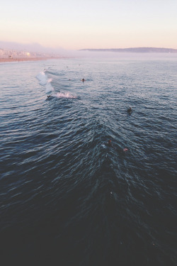 gentscartel:  Oceanscape // GC