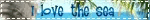 Ocean Graphics 𓆝 𓆟 𓆝