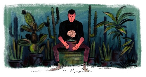 lucasdurkheim:  Cactus, and new brushes tests 