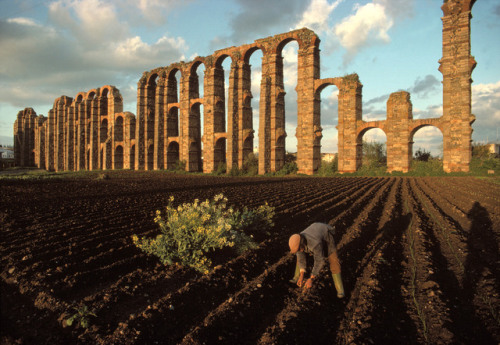 dolm:Spain. Merida. Tilling the fields in the shadow of the ruins of Roman aquaducts. 1990. Bruno Ba