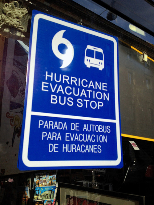 HURRICANE EVACUATION BUS STOPCampo Marzio, Rome, Lazio, ItalyNick Kenrick - CC