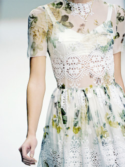 Dolce &Amp;Amp; Gabbana Spring/Summer 2011 