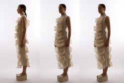 oau:  Mina Lundgren Collection: Organza, 2012.