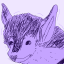 bats-are-cool