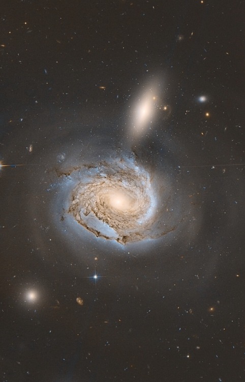 thedemon-hauntedworld:NGC 4522 HubbleNGC 4522 is a spectacular example of a spiral galaxy that is cu