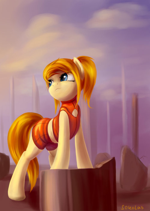 epicbroniestime:  Samus (commission) by *Sokolas
