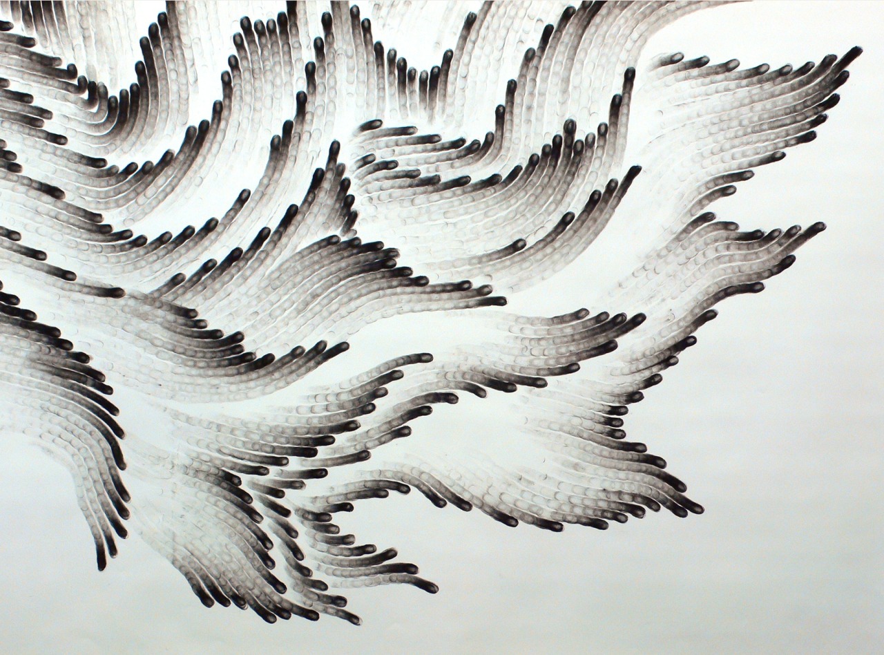 artchipel:  Judith Braun (USA) - Fingering (detail) New York-based artist Judith