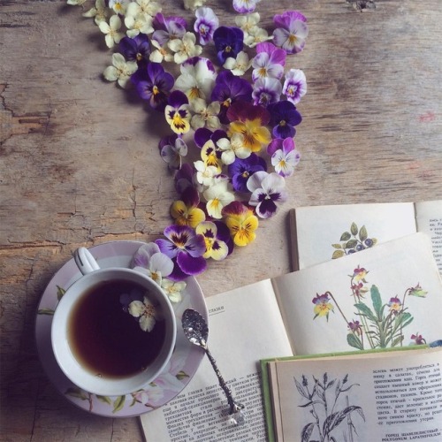 myend-ismybeginning:Source.