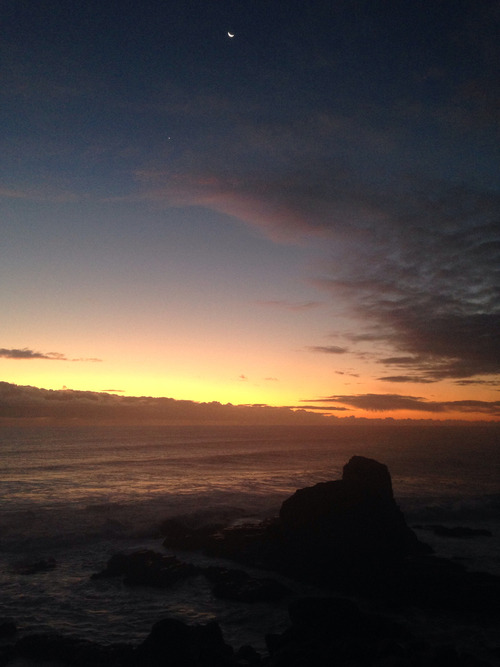 asurferdreams:  Surfing posts