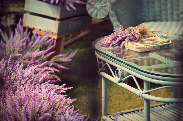 floralls:     by  Jane Ha    