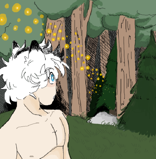 Anondraw The Call Of The Woods