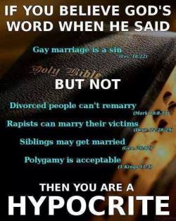 skepticalavenger:  Yes, a hypocrite.  But more specifically, it is clear that the only reason you pull out the gay verse and ignore the others is because you have a clear prejudice against gays.  You’re just using the Bible as an excuse to make this