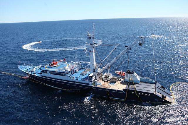 germanea:
“ Mexican tuna fishing ship deploying her net. Helicopters, speed boats…this is a big business
”