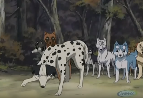 Ginga Densetsu Weed A Forgotten Shounen Anime  All Ages of Geek