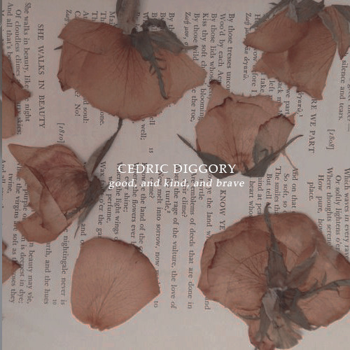 ssiriusblack:“Today we acknowledge a really terrible loss. Cedric Diggory was as you all know, excep