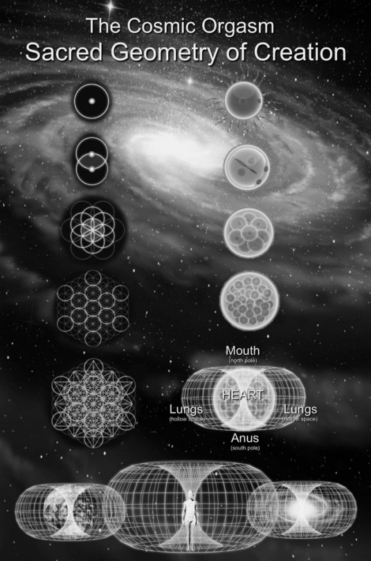 Sacred Geometry Of Creation. Our Human Biology Is A Mirror Image Of The Fabric Of Creation. This Sacred