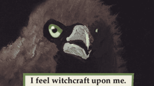 Hozier Songs As Troubled Bird Memes